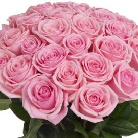 Fairytale Pink Roses Bunch