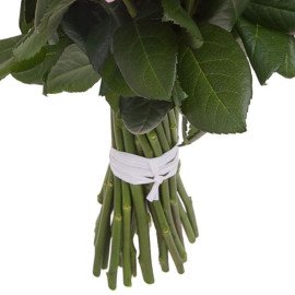 Fairytale Pink Roses Bunch