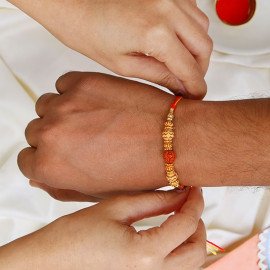 Family Money Plant Rakhi Pack