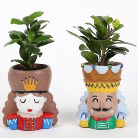 Ficus Compacta Plant In King Queen Pot Hand Delivery