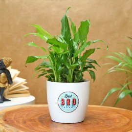 Floral Rakhi With Peace Lily Plant