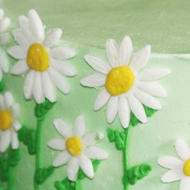 Flowers All Around Chocolate Cake