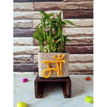 Beautiful Bamboo Planter for Mother’s day