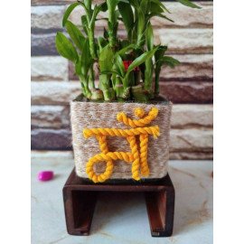 Beautiful Bamboo Planter for Mother’s day