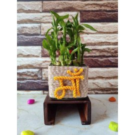 Beautiful Bamboo Planter for Mother’s day