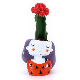 Moon cactus in Orange Girl Planter