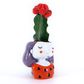 Moon cactus in Orange Girl Planter