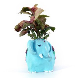 Money Plant in animal shape cute Planter