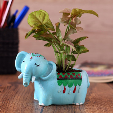 Money Plant in animal shape cute Planter