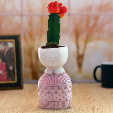 Moon catus plant in Pink Boy Planter
