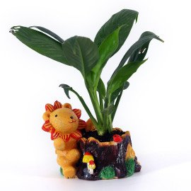 Peace lily Plant in welcome animal shape cute Planter