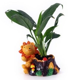 Peace lily Plant in welcome animal shape cute Planter