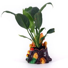 Peace lily Plant in welcome animal shape cute Planter