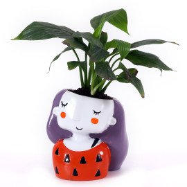 Peace lily Plant in Orange Girl Planter