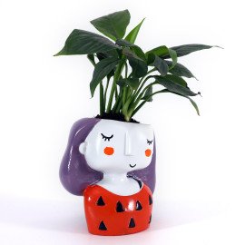 Peace lily Plant in Orange Girl Planter
