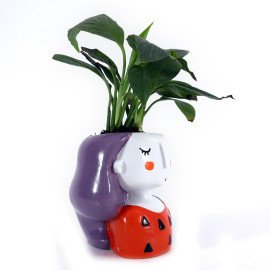 Peace lily Plant in Orange Girl Planter