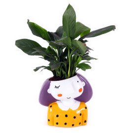 Peace lily Plant in yellow Girl Planter