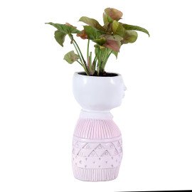 Sygonium plant in Pink Boy Planter