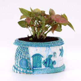 Sygonium plant in Blue Sea Planter