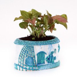 Sygonium plant in Blue Sea Planter