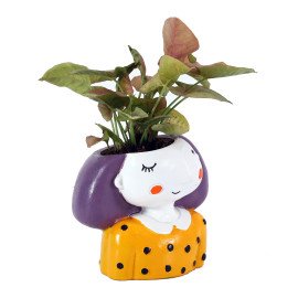 Sygonium Plant in yellow Girl Planter