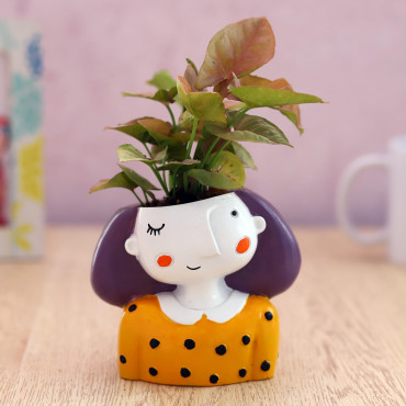 Sygonium Plant in yellow Girl Planter