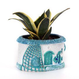 Mint Sansbera  Plant in Blue Sea Planter