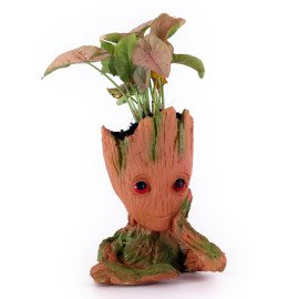 Sygonium Plant in unique shape Planter