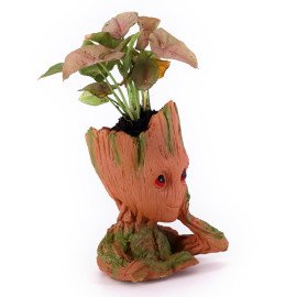 Sygonium Plant in unique shape Planter