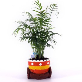 Chamaedorea Plant in Blue animal shape cute Planter