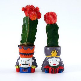 together Loves Plant