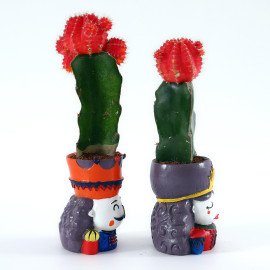 together Loves Plant