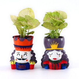 love Couple Plant