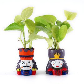 together forevers Plant