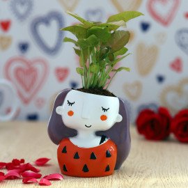 Sygonium Plant in Miss you Planter