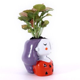 Sygonium Plant in Miss you Planter