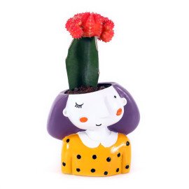 Moon catus Plant in Miss you Planter