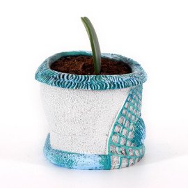 Love Plant in sea Love Planter