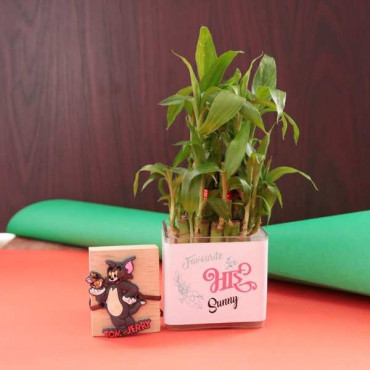 Tom and Jerry Cartoon Rakhi With Two Layer Bamboo Plant