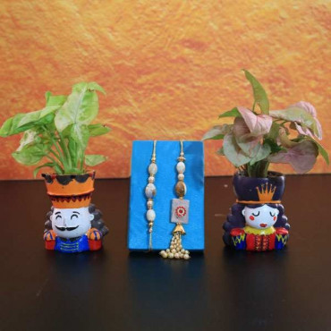 Lumba Rakhi Set with Syngonium Plant Set