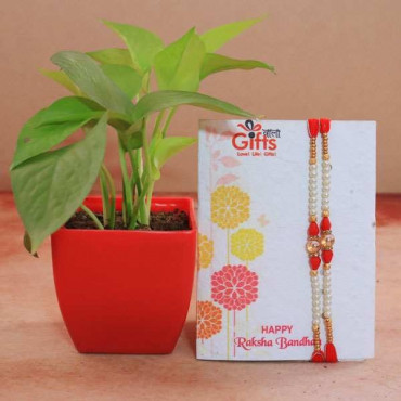 Set of 2 Stone Rakhi with Money Plant