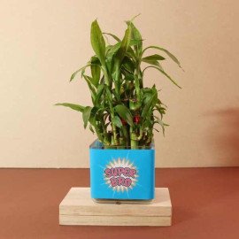 Photo Rakhi with Good Luck Bamboo Plant