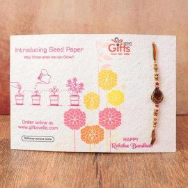 Beautiful Stone Rakhi With Syngonium Plant