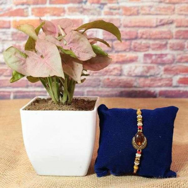 Simple Beaded Rakhi with Plant