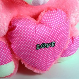 Romantic Cute love Pink Teddy Bear 