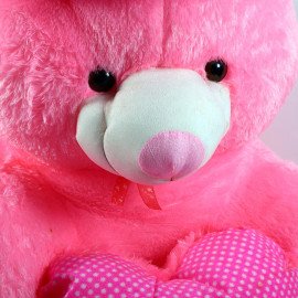 Romantic Cute love Pink Teddy Bear 