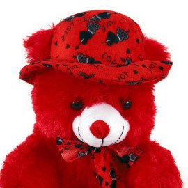 Romantic Cute love Red  Teddy Bear