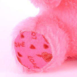 Romantic Cute love Pink  Teddy Bear