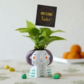 Golden Money Plant In Resin Pot For Sister