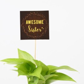 Golden Money Plant In Resin Pot For Sister